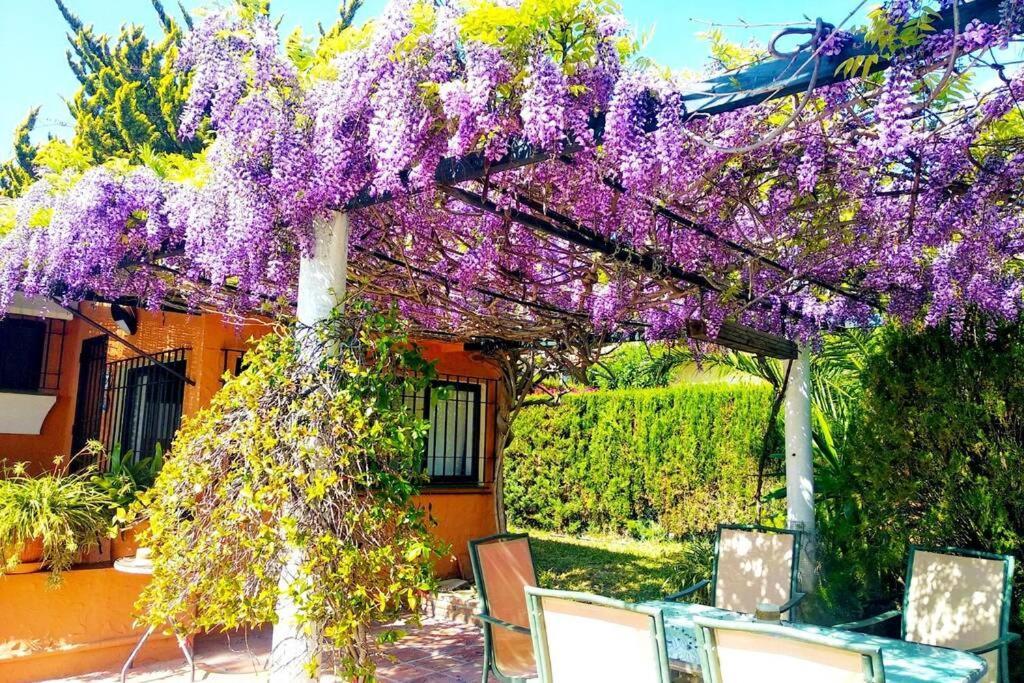 Villa Torrenueva Малага Екстер'єр фото